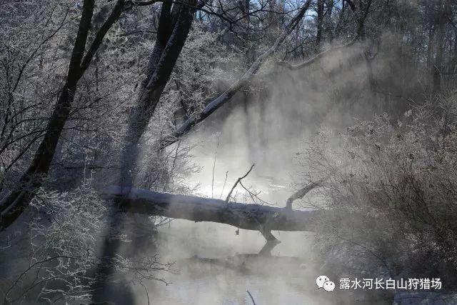 市人大代表、易宝支付有限公司首席数字官杨赫:“大模型”要加快与实际应用场景的结合落地